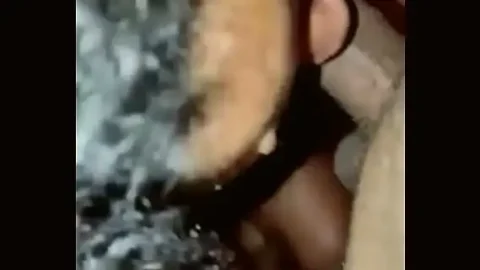 samara 1733498319